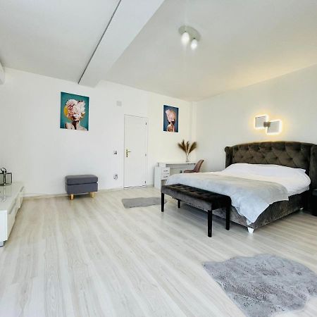 Panoramic Studio Apartamento Cluj-Napoca Exterior foto